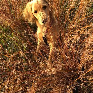 Meet your Posher, Christy